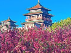 -莲花池公园
