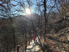 -阳台山自然风景区