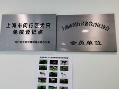 -艾吉宠物医院·疑难杂症转诊中心·猫友好(碧江路院)