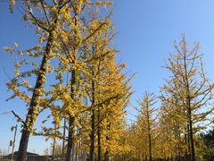 -北京雁栖湖国际会展中心