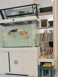 -熊孩子韩国儿童摄影(利波苑店)