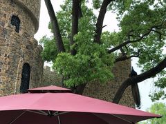 -J Create城市露营咖啡·简餐·宠物(上海动物园店)