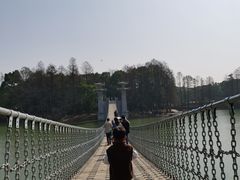 -东湖落雁景区