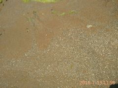 -青岛银沙滩