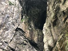 -重庆武隆天生三桥风景区-神鹰天坑
