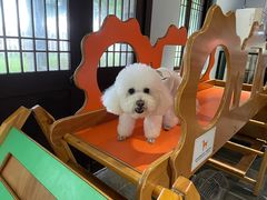 -太阳岛度假酒店