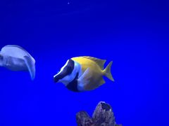 -海合安青岛极地海洋公园