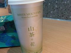 -雾与山茶(大禹城店)