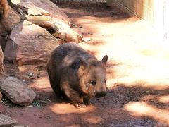 -费瑟代尔野生动物园