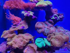 -上海海昌海洋公园