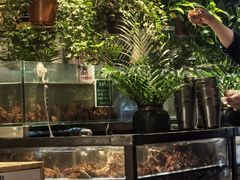 -亚马逊蒸汽活海鲜自助(LCM置汇旭辉广场店)