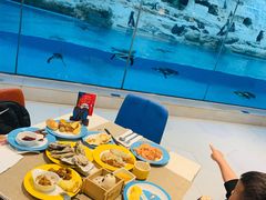 -帝企鹅自助餐厅•儿童岛•真企鹅(长隆企鹅酒店)