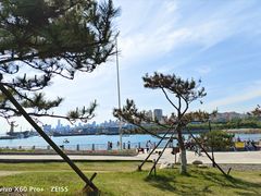 -小麦岛公园