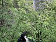 -洛阳白云山景区