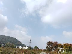 -树山生态村