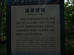 -天目山大树王景区