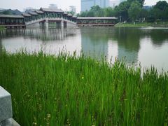 -西海子公园