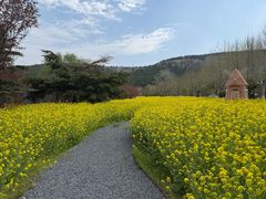 -山东福寿园发展有限公司(陵园)