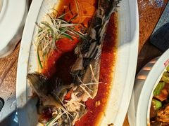 -老山东·山东菜(鲁菜名店)