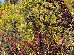 -昆嵛山石门里景区