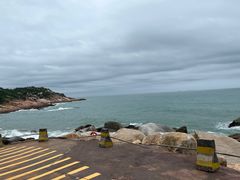 -广东惠东海龟国家级自然保护区