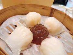 稻香虾饺（精点〉-稻香酒家·35年老字号(侨光店)