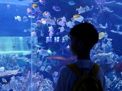 -左海海底世界