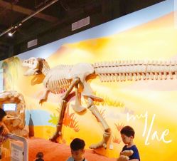 -北京科学中心儿童乐园