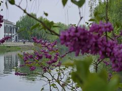 -溱湖国家湿地公园