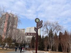 -莲花池公园