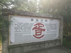 -北海金海湾红树林生态旅游区