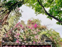 -深圳国际园林花卉博览园