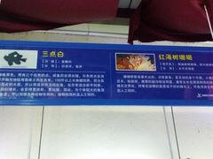 -御唐府海珊瑚主题餐厅