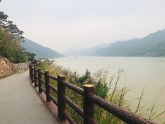 -羚羊峡古栈道森林公园