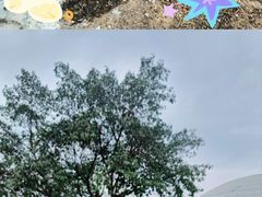 -盈香心动乐园