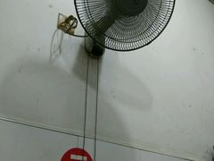 android_upload_pic-老牌依强牛肉店(达道总店)
