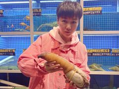 -金龙·打边炉(南京西路店)