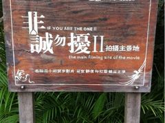 非诚勿扰-三亚亚龙湾人间天堂鸟巢度假村