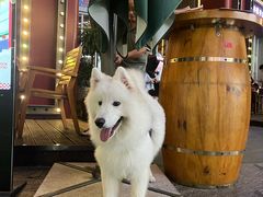 -MR.ROCKY洛奇先生RESTAURANT&BAR(宝安壹方城店)