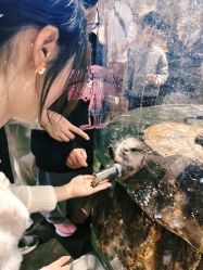 -Zoolung Zoolung动物主题公园(海信广场店)