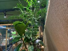 -出走咖啡·面包(宋庄店)
