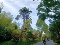 -吴淞炮台湾湿地森林公园烧烤区