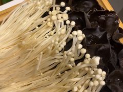-蝎王府羊蝎子(西直门店)