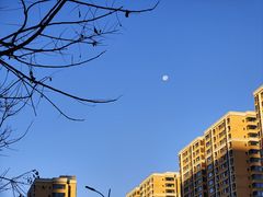 -包子大王(新泽巷店)