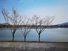 -羊山湖公园