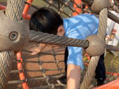 -枫香湖儿童公园