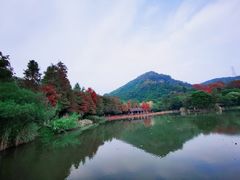 -八卦田遗址公园