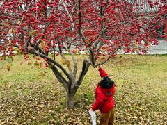 -玉渡山自然风景区