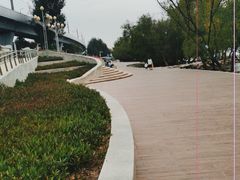 -宝安西湾红树林湿地公园