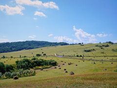 -塞罕坝国家级自然保护区